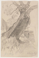 FF 001e
          <br/>
          De boom van Fasso
          <br/>
          <em>Looy, Jacobus van (1855-1930)</em>